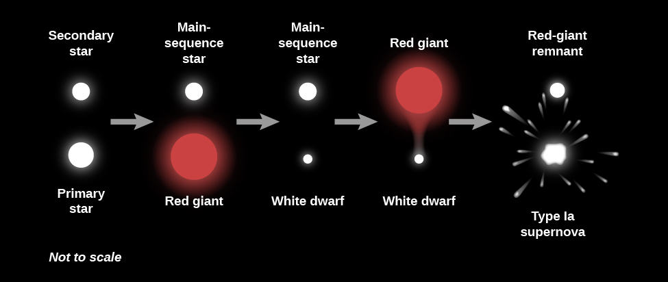 Illustration of the Evolution of a Binary System. From left to right the “Primary star” is at bottom drawn as a large white circle. The “Secondary star” is at top as a smaller white circle. A grey arrow points to the right to the next phase. The primary has evolved into a “Red giant”, drawn as a large red circle, and the secondary remains a “Main-sequence star”. A grey arrow points to the right to the next phase. The primary has evolved into a “White dwarf”, drawn as a white dot, and the secondary remains a “Main-sequence star”. A grey arrow points to the right to the next phase. The primary remains a “White dwarf” while the secondary has evolved a “Red giant”, drawn as a large red circle with material flowing toward the white dwarf. A grey arrow points to the right to the final phase. The primary has exploded as a “Type Ia supernova”, drawn as a white blob with debris streaming outward, and the secondary has evolved into a “Red-giant remnant”.