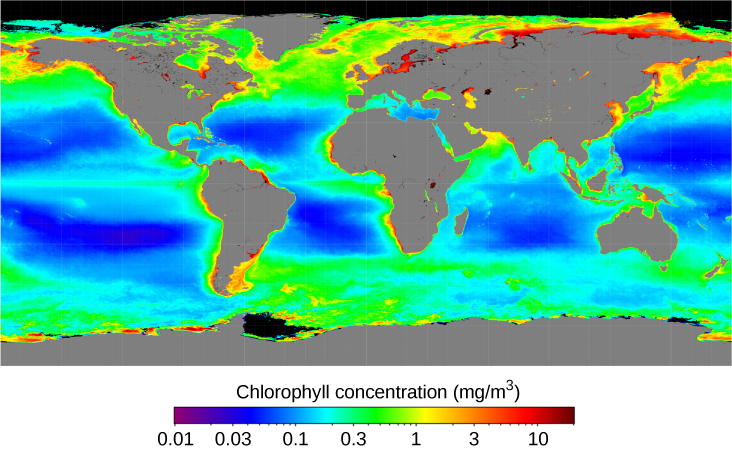 Chlorophyll Abundance. This whole-Earth map plots the distribution of chlorophyll in the oceans. The concentration is highest near the shorelines of the continents, especially in the northern hemisphere, and lowest in the mid-ocean regions. The color scale at bottom is labeled: “Chlorophyll a concentration (mg/m3)”, and runs from 0.01 (purple) at left through 0.03 (blue), 0.1 (light blue), 0.3 (green), 1 (yellow), 3 (orange) to 10 (dark red) at right.